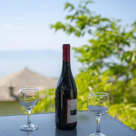 Hébergement de vacances Pelion House With Stunning View To Relax